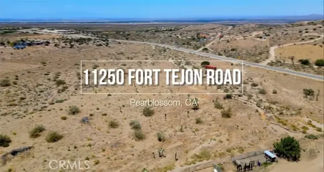 11250 Fort Tejon Road, Pearblossom, CA 93553 - #1