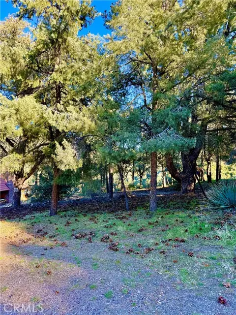 2608 Tirol, Frazier Park, CA 93225 - #3