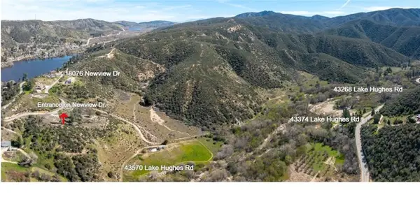 43460 Newview Drive, Lake Hughes, CA 93532