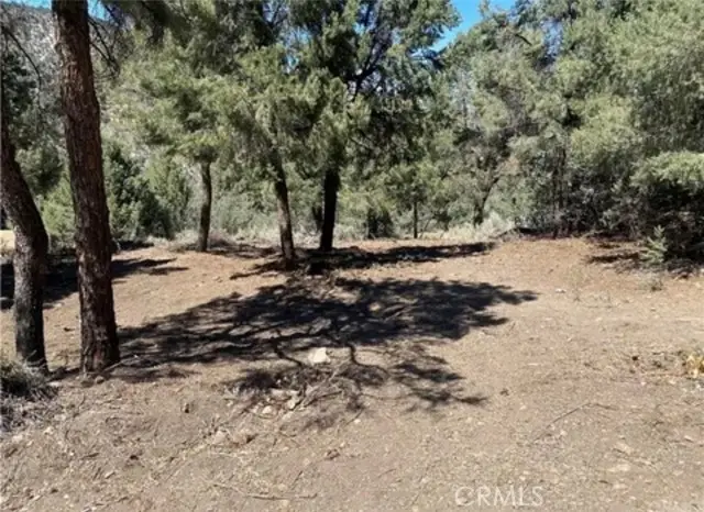 2217 Saint Bernard Drive, Pine Mountain Club, CA 93222 - #1