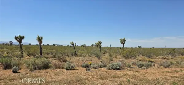 0 173rd E W-12, Llano, CA 93544
