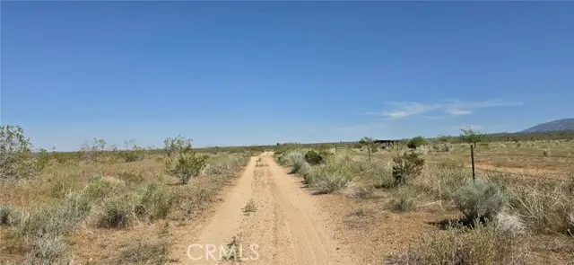 0 175th St E W14, Llano, CA 93591 - #1