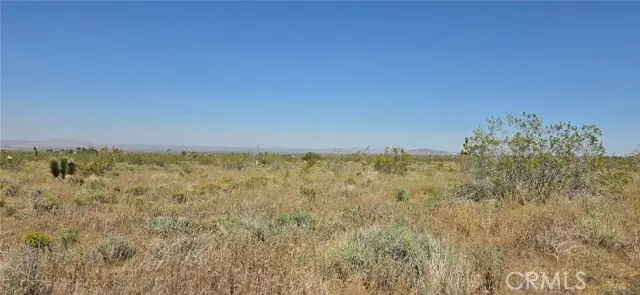 0 175th St E W14, Llano, CA 93591 - #3