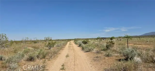 0 175th St E W10, Llano, CA 93591 - #1