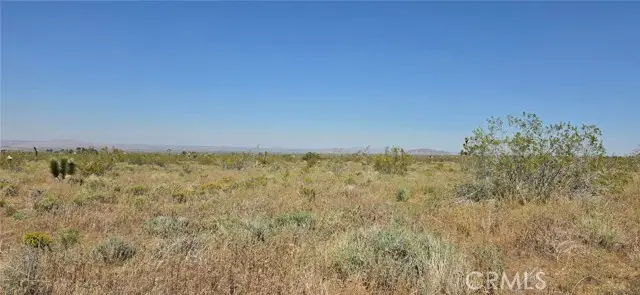 0 175th St E W10, Llano, CA 93591 - #3