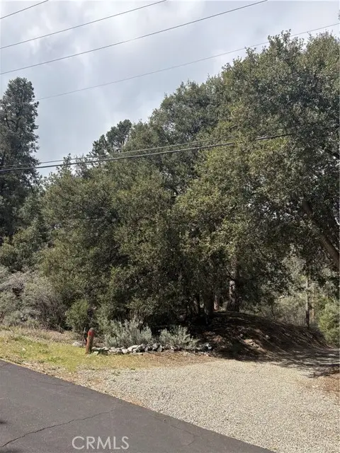 1709 Zion, Pine Mountain Club, CA 93222 - #1