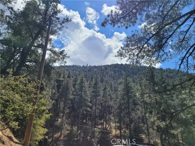 1871 Matuse, Pine Mountain Club, CA 93222 - #3