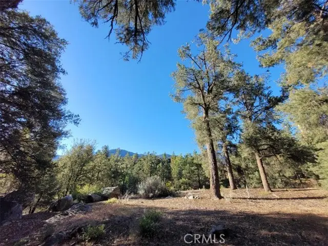 15913 Wildwood Drive, Pine Mountain Club, CA 93222 - #1