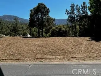 2045 Woodland Drive, Pine Mountain Club, CA 93222 - #1