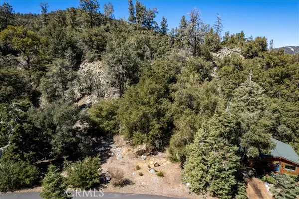 1301 Bernina Drive, PINE MOUNTAIN CLUB, CA 93222