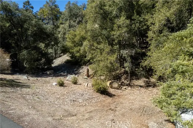 1301 Bernina Drive, Pine Mountain Club, CA 93222 - #2