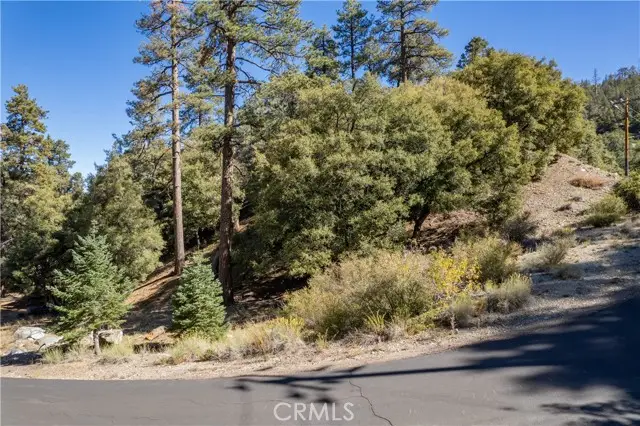 1216 Banff Drive, Pine Mountain Club, CA 93222 - #1