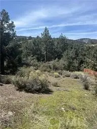2029 Zermatt Drive, PINE MOUNTAIN CLUB, CA 93222