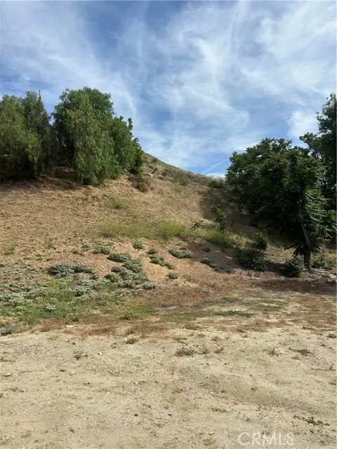 30021 Buchanan, Castaic, CA 91384 - #2