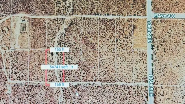 105 Vic Ave V10 Avenue, Pearblossom, CA 93553 - #2