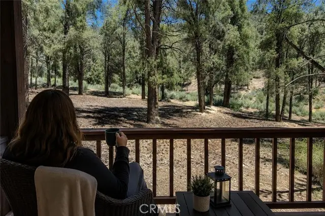 16525 Grizzly Drive, Pine Mountain Club, CA 93222 - #2