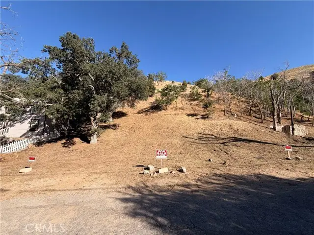 0 South Drive, Lebec, CA 93243 - #2