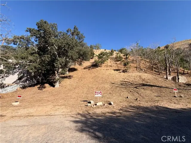 0 South Drive, Lebec, CA 93243 - #2