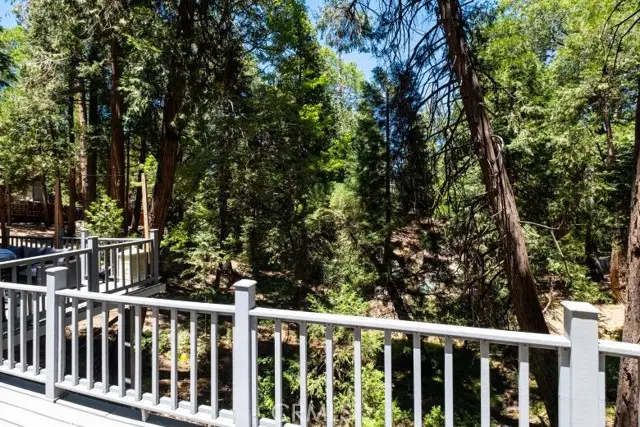 29054 Alder Ter, Cedar Glen, CA 92321 - #3