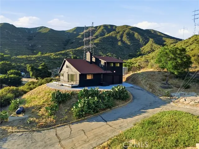 38735 San Francisquito Canyon Road, Santa Clarita, CA 91390 - #2