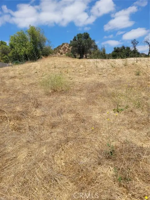 0 San Martinez Rd., Castaic, CA 91384 - #1