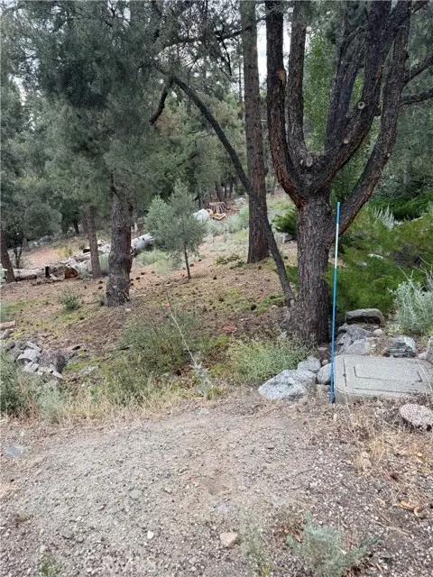 1620 Zion, Pine Mountain Club, CA 93222 - #2