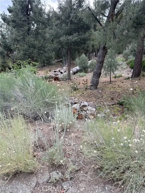 1620 Zion, Pine Mountain Club, CA 93222 - #3