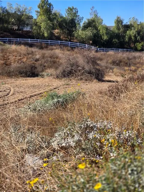 28706002 Multiview, O Neals, CA 92579 - #1