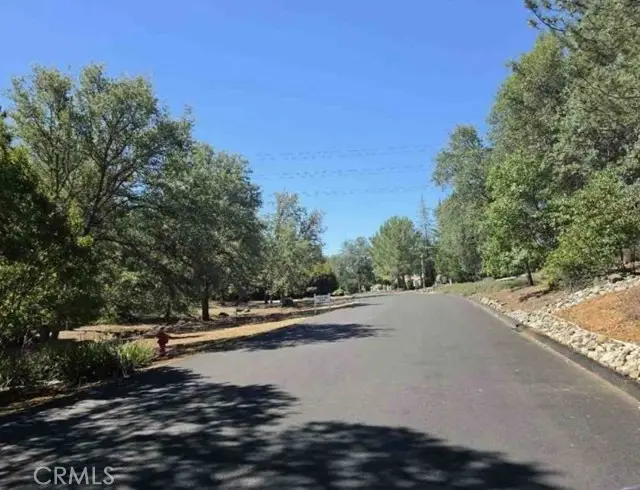 4175 Vega, Shingle Springs, CA 95682 - #3