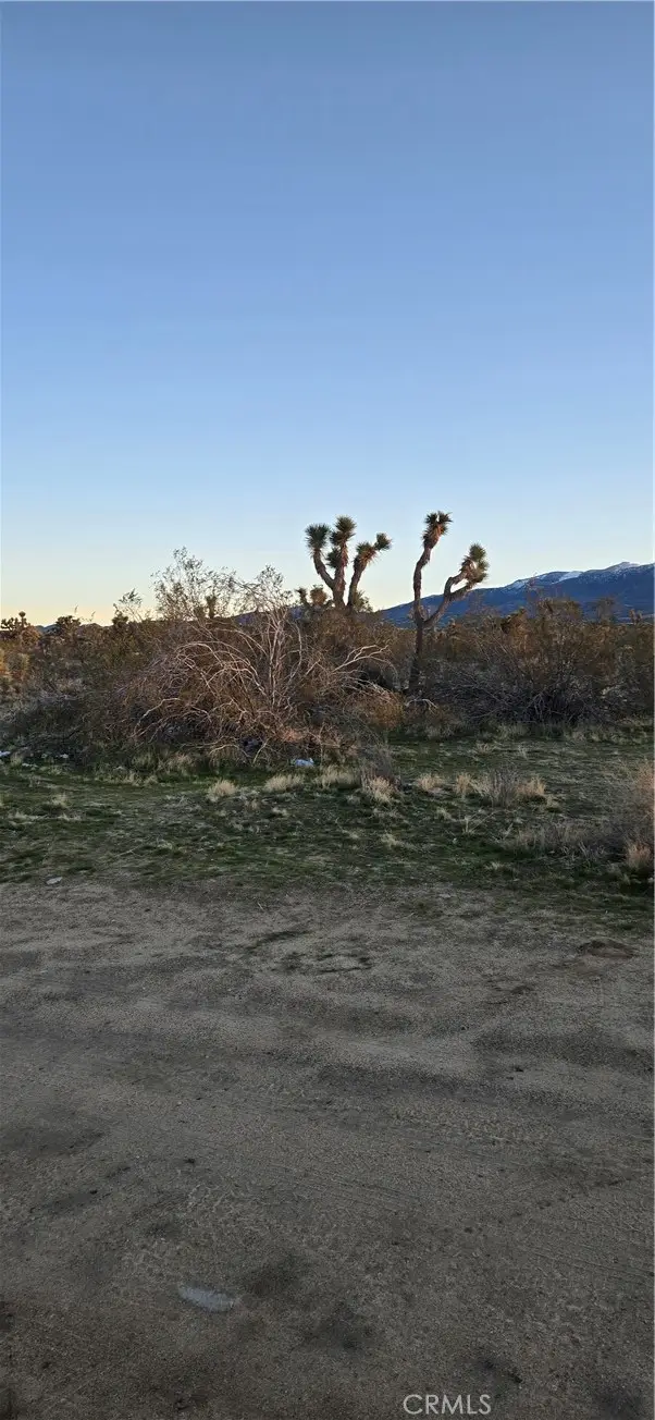 253 Vac/Vic, Palmdale, CA 93591 - #2