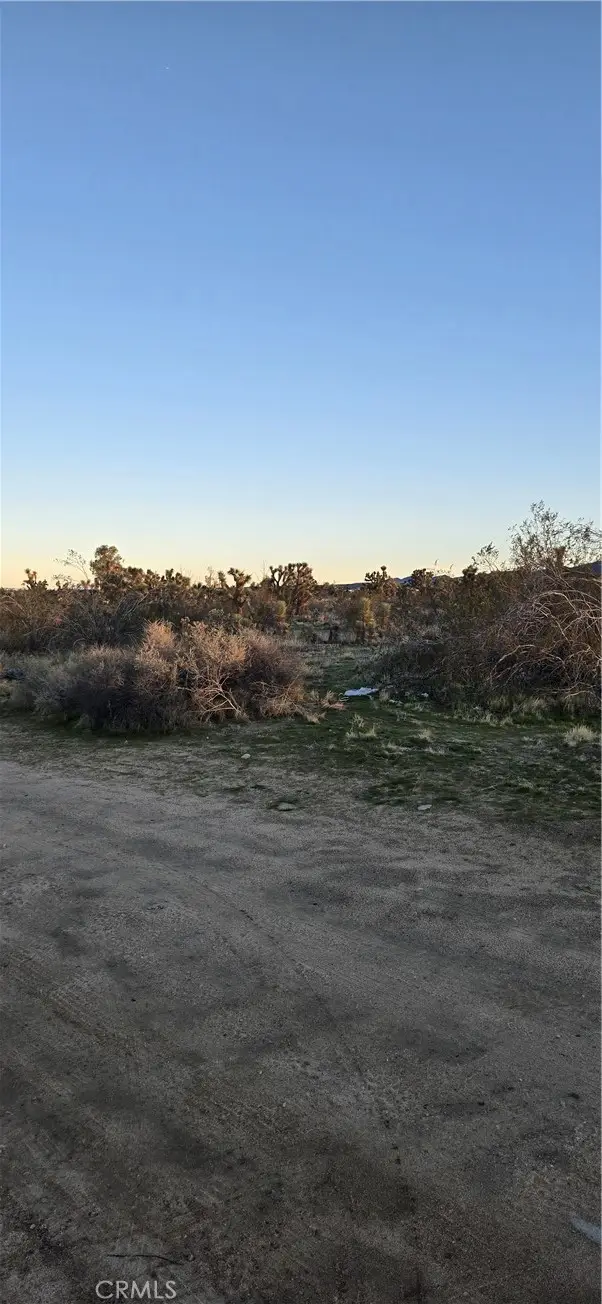 253 Vac/Vic, Palmdale, CA 93591 - #3