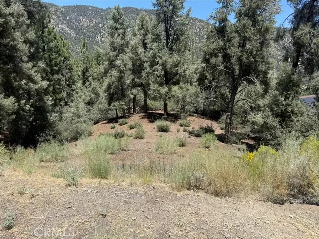2424 Cedarwood, Pine Mountain Club, CA 93222 - #2