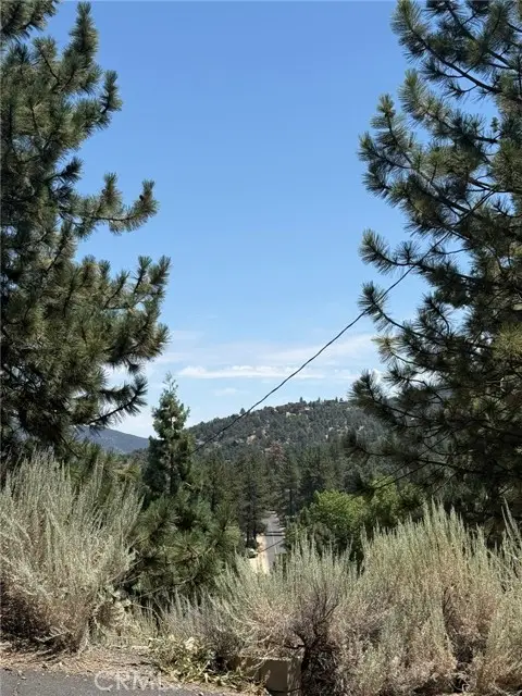 2413 Cedarwood Drive, Pine Mountain Club, CA 93222 - #1
