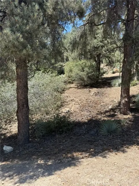 2413 Cedarwood Drive, Pine Mountain Club, CA 93222 - #2