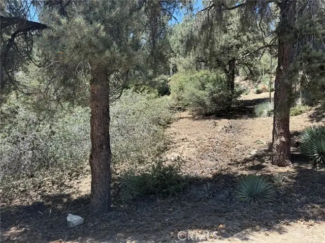 2413 Cedarwood Drive, Pine Mountain Club, CA 93222 - #3