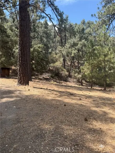 2019 Freeman, PINE MOUNTAIN CLUB, CA 93222