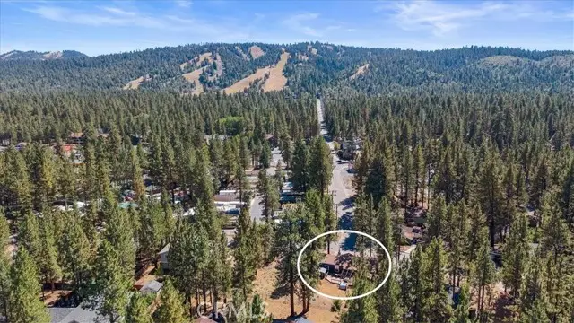 41704 Park Ave, Big Bear Lake, CA 92315 - #2