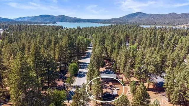 41704 Park Ave, Big Bear Lake, CA 92315 - #3