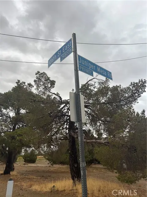106 106th, Juniper Hills, CA 93543 - #2
