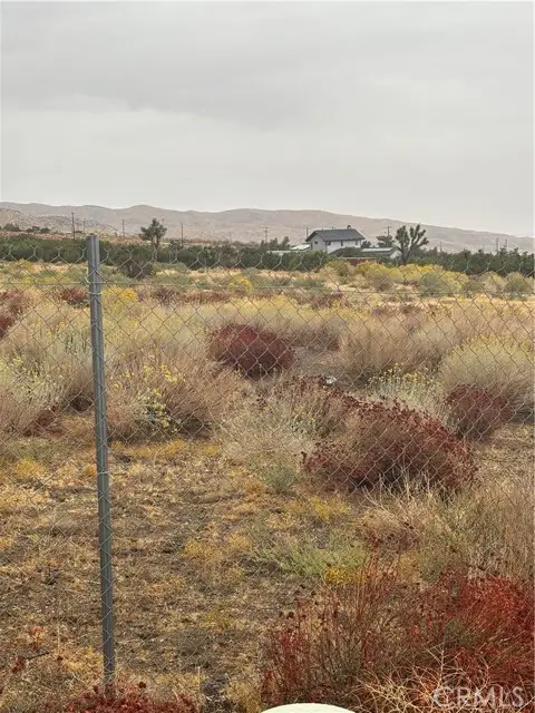 106 106th, Juniper Hills, CA 93543 - #3