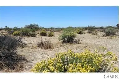 0 Farley Mine Road, Lucerne Valley, CA 92356 - #2