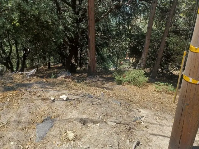 0 Lo Lane, Twin Peaks, CA 92391 - #1