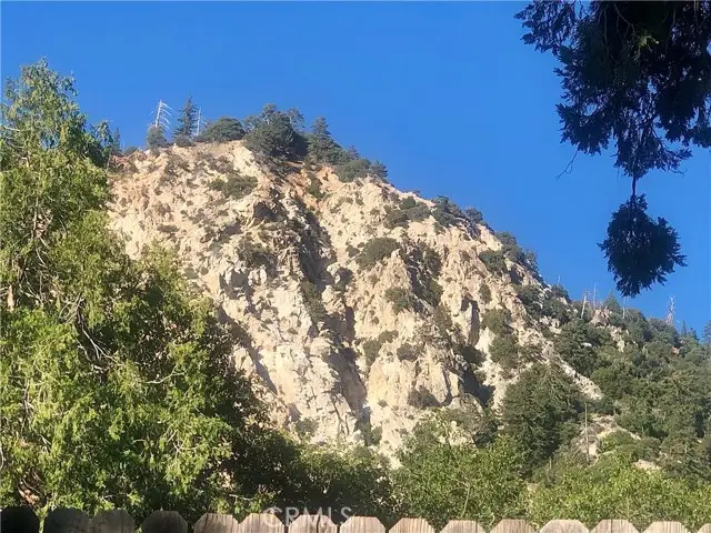 41424 Valley of the Falls Drive, Forest Falls, CA 92339 - #1
