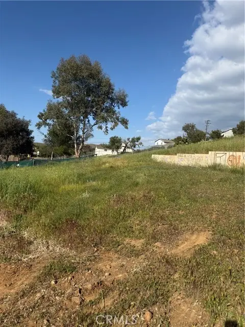 23816 Johnson Lane, Quail Valley, CA 92587 - #1