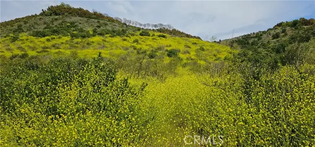 46700 El Prado Road, Temecula, CA 92590 - #3