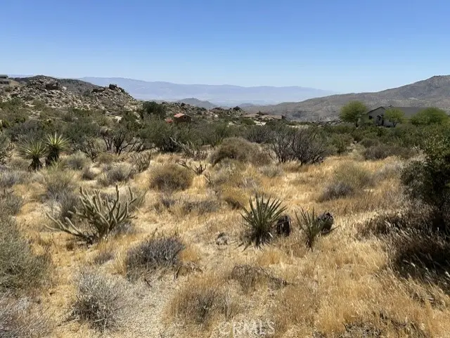 7 Carrizo Road, Mountain Center, CA 92561 - #2