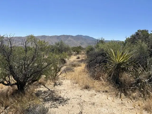 7 Carrizo Road, Mountain Center, CA 92561 - #3