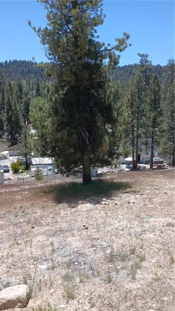 39237 Crest Lane, Big Bear Lake, CA 92315