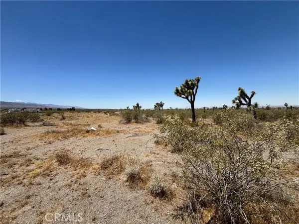 0 Danbury Road, Pinon Hills, CA 92372