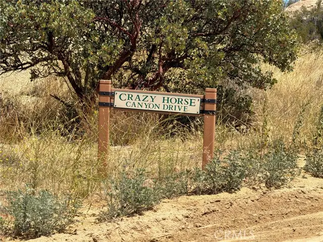 990 Crazy Horse Canyon Road, Aguanga, CA 92536 - #3